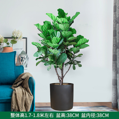 黑色圆柱1.7-1.8米左右