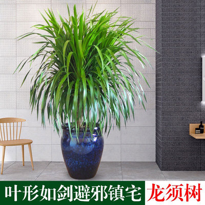孔雀蓝瓷盆