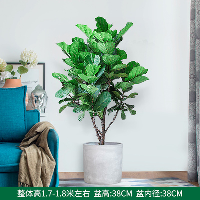 水泥圆柱盆1.7-1.8米左右