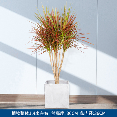 水泥正方1.4米左右