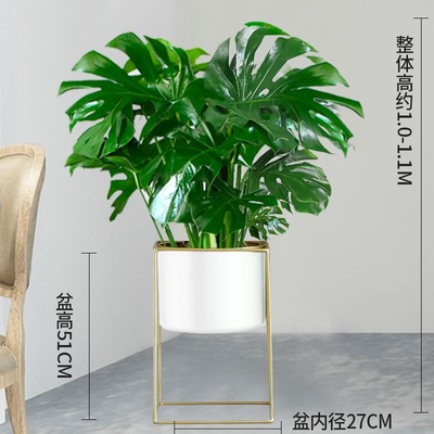 白色四方铁架1.1-1.2米左右