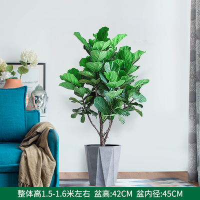 水泥多边盆1.5-1.6米左右