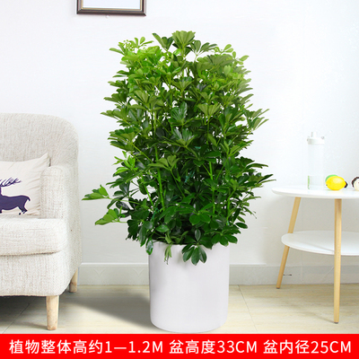 白圆柱瓷盆1.1米左右