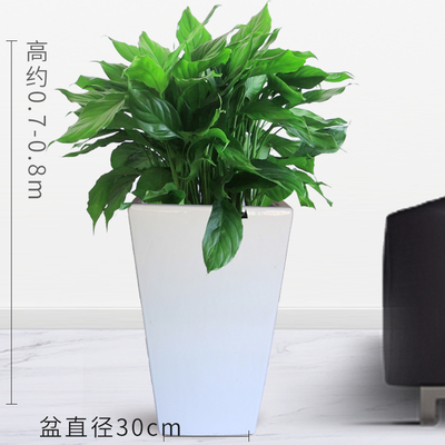 白四方瓷盆0.7米左右