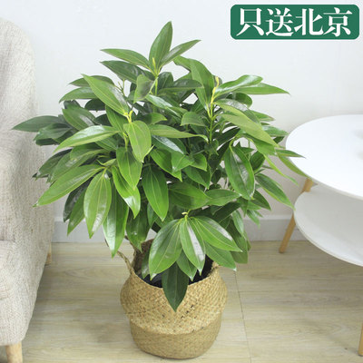草边框