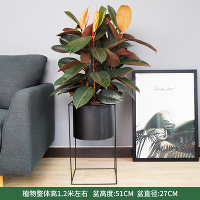 黑色四方铁架