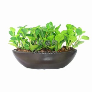 船型花盆