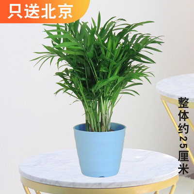 蓝色仿瓷螺纹盆
