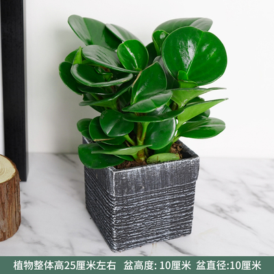 水泥黑色四方波纹盆