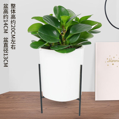 白色圆柱铁架蓄水盆