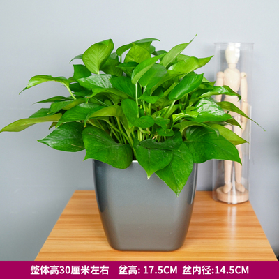 方形仿金属灰色