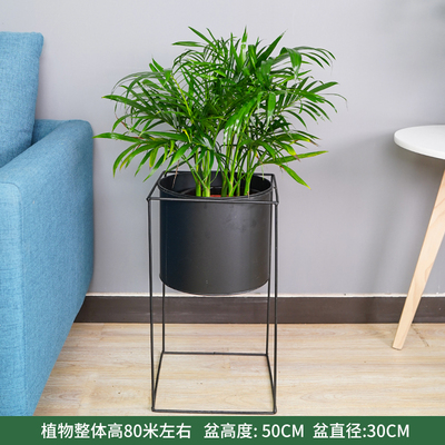 黑色四方铁架盆