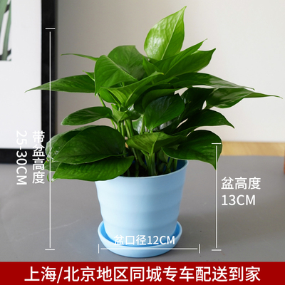 仿瓷螺纹蓝色