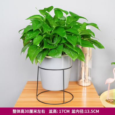 铁架蓄水灰色