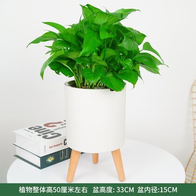 白色智能蓄水盆