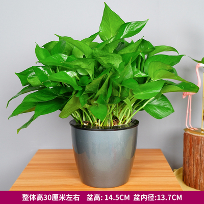 圆形仿金属灰色