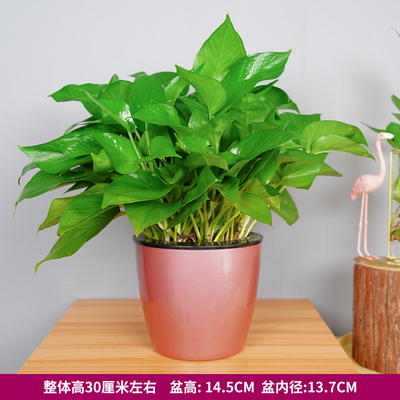 圆形仿金属红色