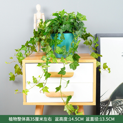 绿色蓄水盆