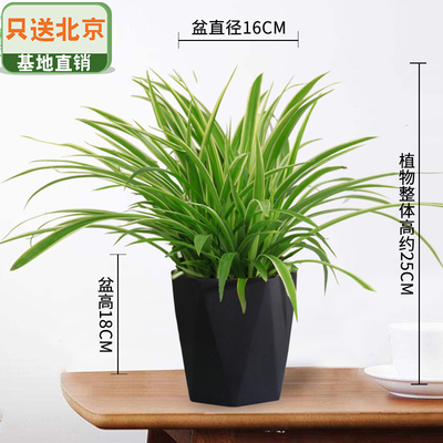 黑色多边盆