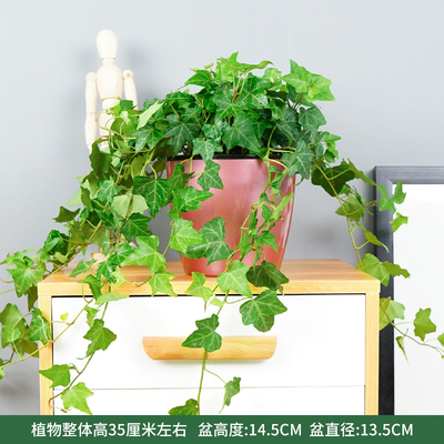 红色蓄水盆