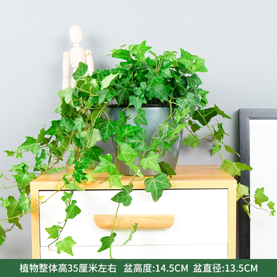 灰色蓄水盆