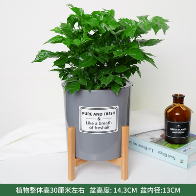 木架笔筒蓄水盆