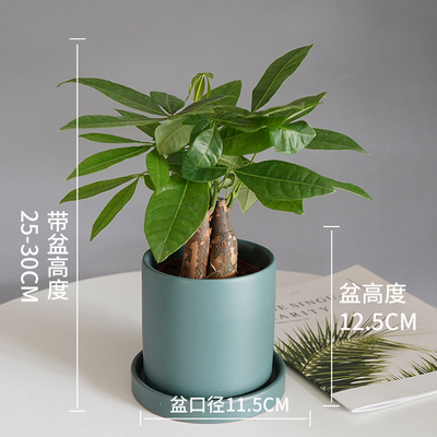 笔筒绿色盆