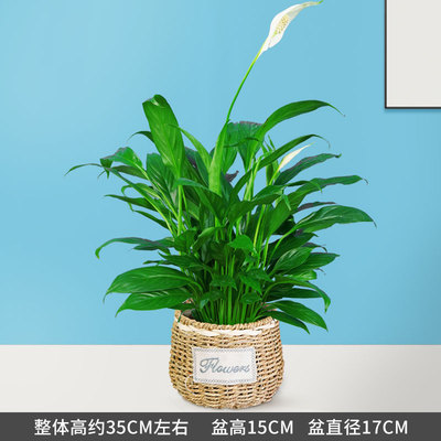 草边框