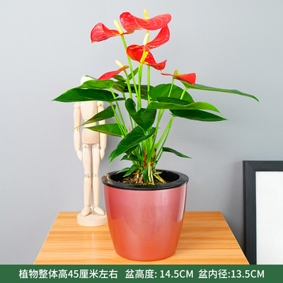 红色仿金属蓄水盆