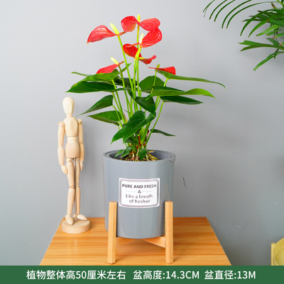 木架灰圆柱盆