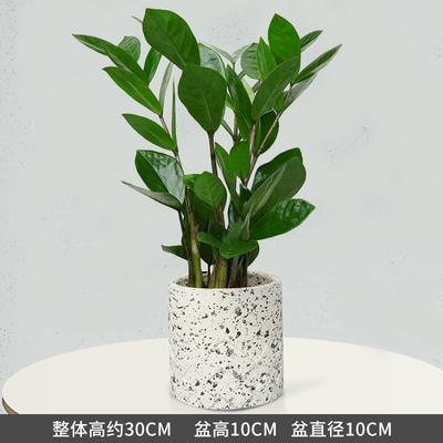 水泥圆柱奶黄花纹盆