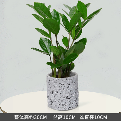 水泥圆柱灰花纹盆