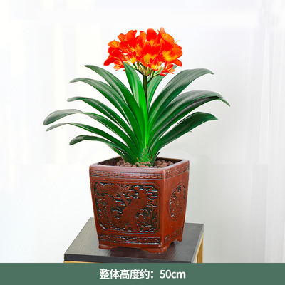 黑红仿古四方瓷盆