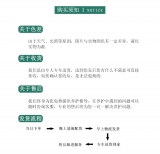 夏威夷椰子（普通花盆）