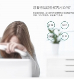 幸福树0.8-1米