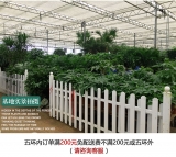 幸福树1.4-1.5