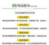 发财王（普通花盆）