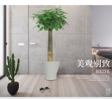 发财王（普通花盆）