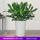 螺纹铁