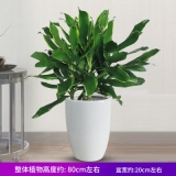 螺纹铁