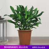 螺纹铁