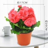 海棠仿瓷盆系列