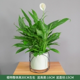 一帆风顺（小）
