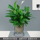 一帆风顺蓄水盆