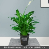 一帆风顺蓄水盆