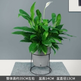 一帆风顺蓄水盆